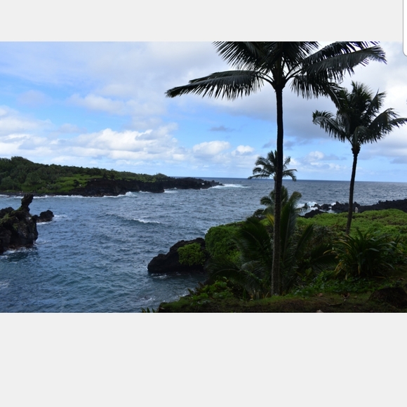 FREE PEOPLE INTIMATE LACE BEAUTIFUL WHITE NEW! - Picture 4 of 8